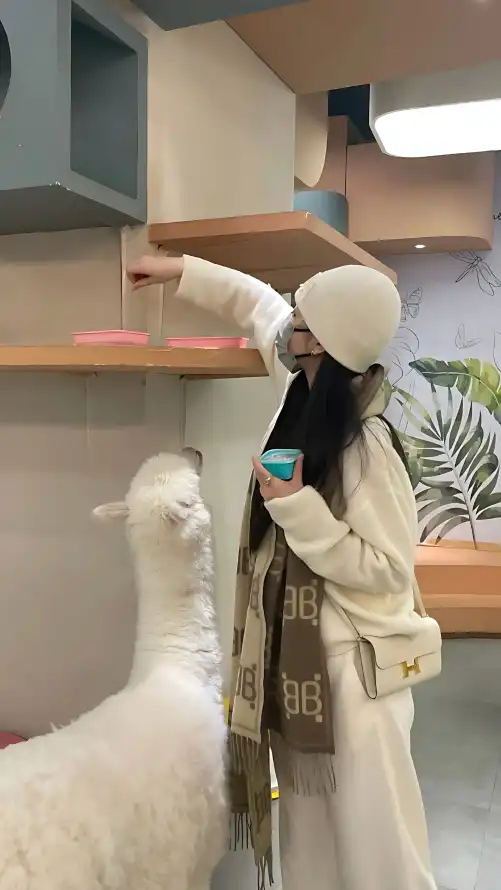 欧美成人a激情_精品久久久无码中文字幕_18禁黄网站禁片免费观看